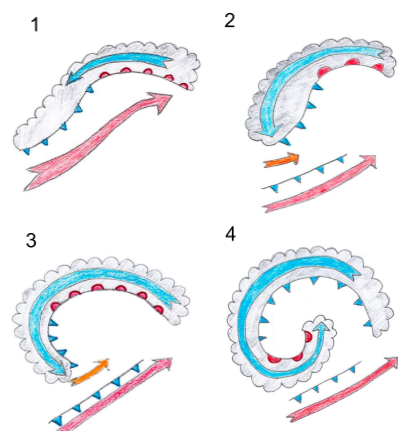 Sting Jets Graphic 1