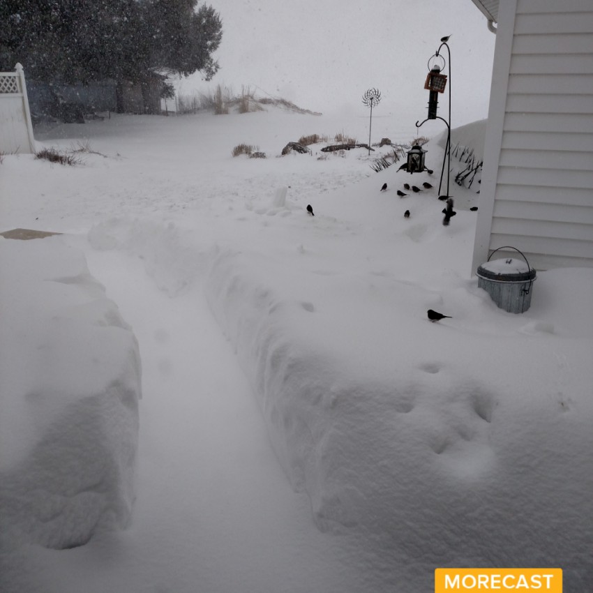 b35e8ef820d4ef575149bbe79076e608