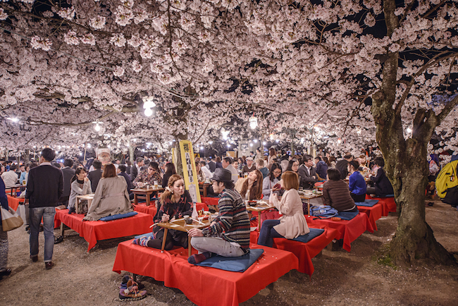 Le célèbre festival de la fleur de cerisier au Japon (c) Sean Pavone / shutterstock