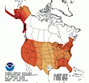 Three-Month Temp Outlook