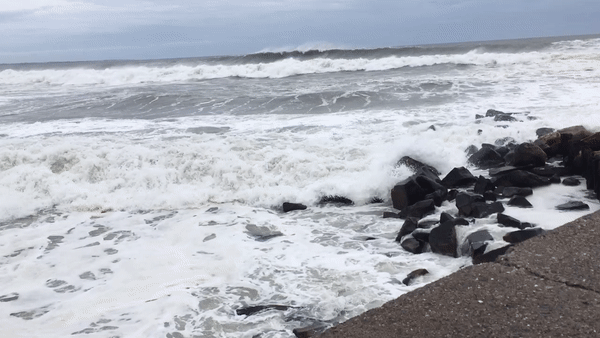 waves_hermine