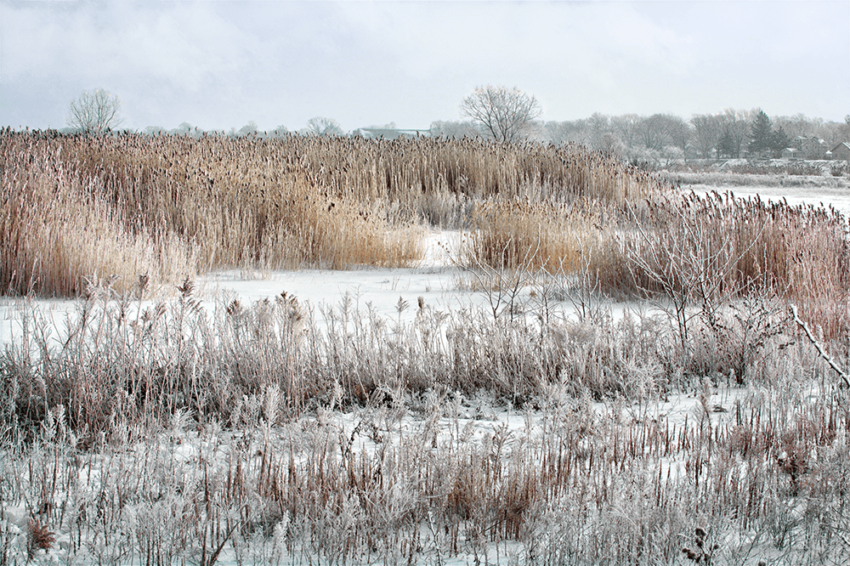 Von wenigen Zentimetern bis zu 1,5 Meter Schnee sind in nur 24 Stunden möglich.(c) shutterstock.com/Michael Shake