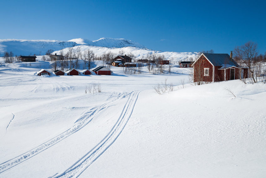 (c) Shutterstock/Alexander Erdbeer