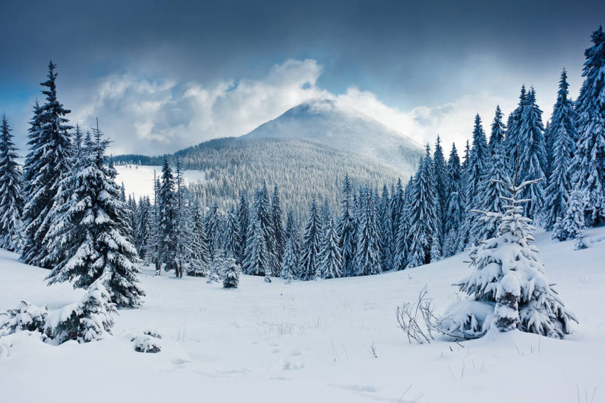 Vielfach unbekannt: Wie viele Schneearten es gibt. (c) shutterstock/Creative Travel Projects