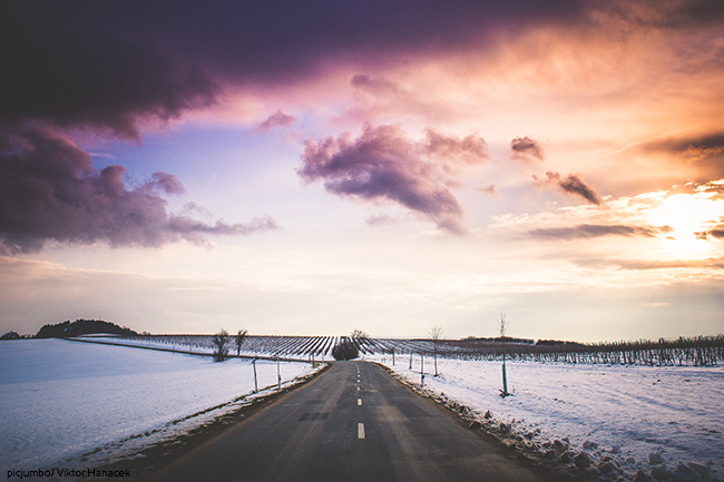 Straße im Winter. Weinhänge mit Schnee auf der Seite.