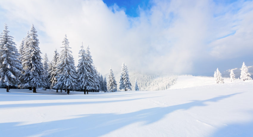 Eine tief verschneite Winterlandschaft: (C) shutterstock/Vitalii_Mamchuk