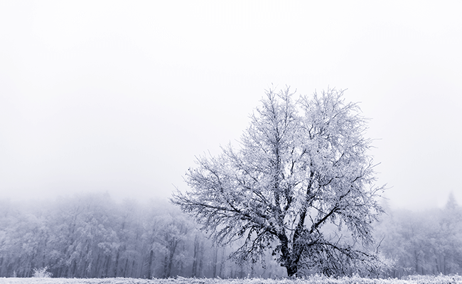 Wenn eisige Luft aus dem Osten nach Mitteleuropa kommt, kann das zu wochenlangem Frost führen. (c) shutterstock/ Thomas M. J. Bauer