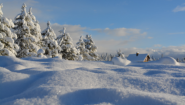 Eine tief verschneite Winterlandschaft mit Sonnenschein. 