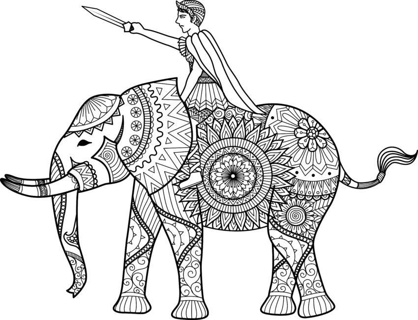 Elephant with a soldier on it (c) Bimbim / shutterstock