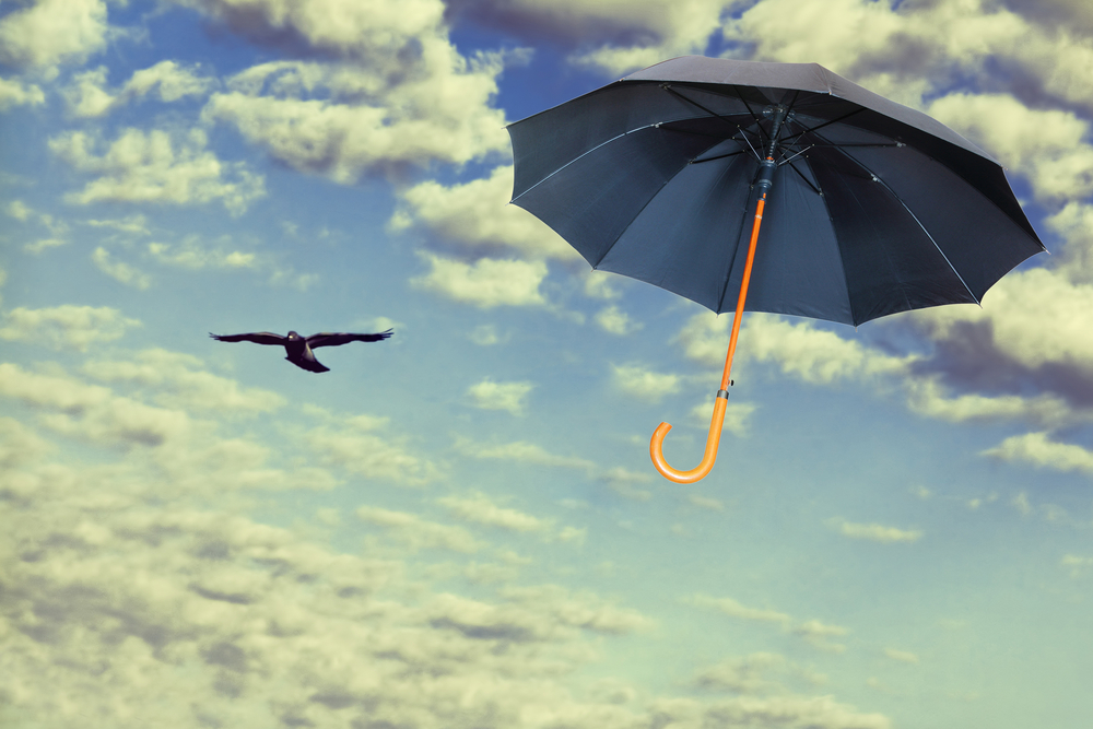 10 things you didn’t know about umbrellas – MORECAST