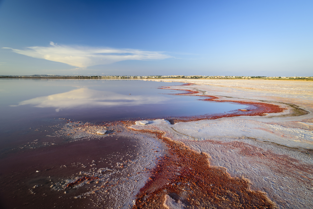 Un lago de sal en el parque natural de Torrevieja (c) shutterstock.com/Jerónimo Contreras Flores