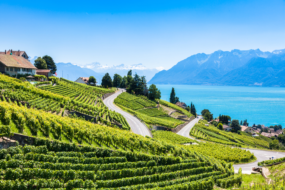 Les terrasses escarpées de Lavaux (c) shutterstock.com/Samuel Borges Photography