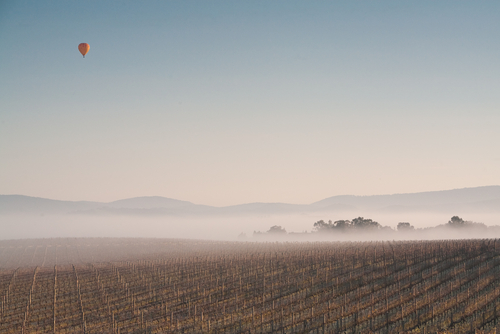 Frosty morning across the Yarra valley in Melbourne