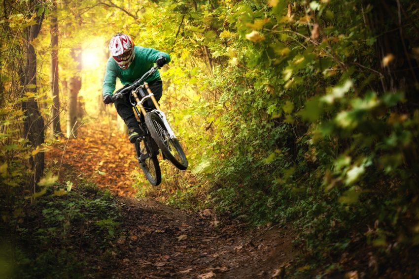 Bicicleta de montaña en un bosque (c) shutterstock.com/Maciej Kopaniecki