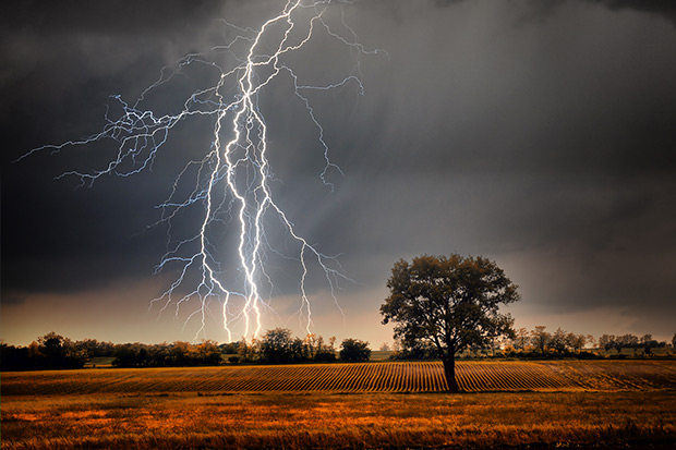 Ein Blitz schlägt in einem Feld ein. © shutterstock.com/Dark Moon Pictures