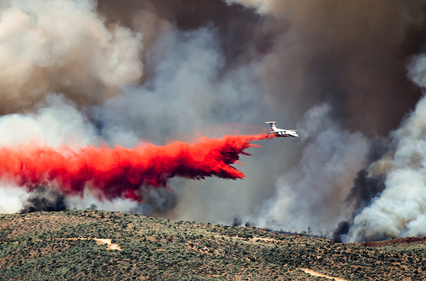 Löschflugzeug mit rotem Löschmittel bei Waldbrand © shutterstock.com/rck_953