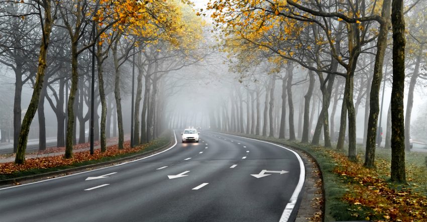 Nebelige Herbststraße (c) shutterstock.com/Artens