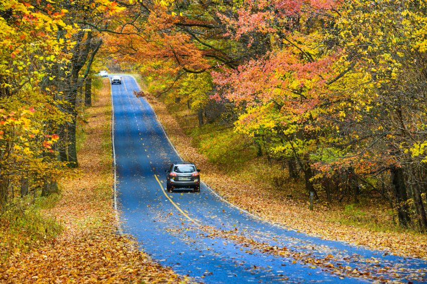 Auto auf Straße mit Herbstbäumen (c) shutterstock.com/Orhan Cam