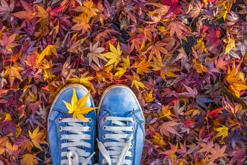 Schuhe im Herbstwald (c) shutterstock.com/javarman