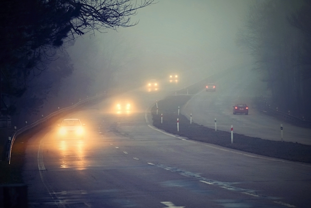 Bei Nebel ist die Anpassung der Geschwindigkeit sowie des Abstandes besonders wichtig, um Unfälle zu vermeiden. © shutterstock.com/Montypeter
