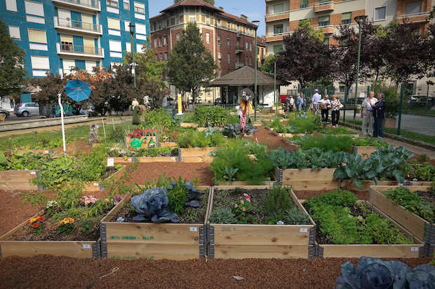 Urban Farming hat sich bereits vielerorts durchgesetzt. ©shutterstock.com/MikeDotta