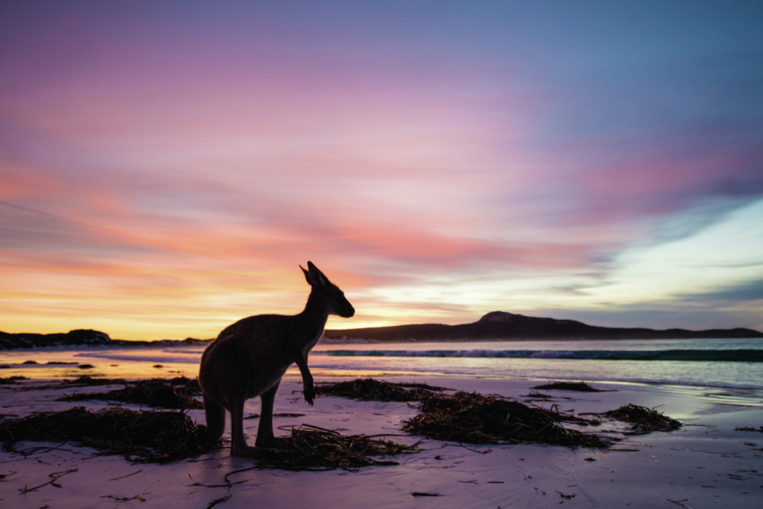 Mit einer wunderschönen und vielfältigen Küstenlinie und Insellandschaft lockt Westaustralien vor allem Taucher, Schnorchler und Touristen, die die beeindruckende Flora uns Fauna entdecken wollen. © Tourism Western Australia