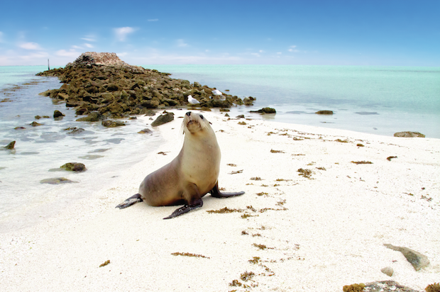 Abrolhos Islands © Australia's Coral Coast