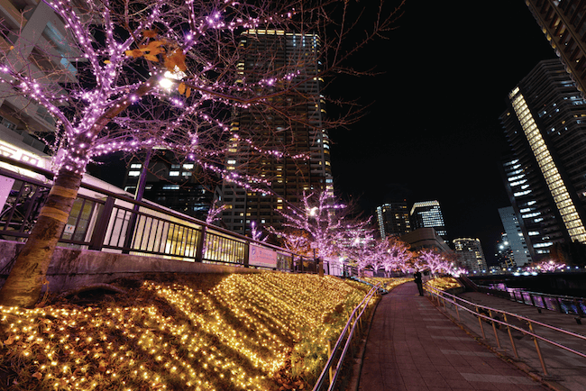 Unechte Kirschblüten aus LEDs. © Minna no Illumi 